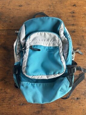 Trans: by Jansport Teal and Light Gray Backpack